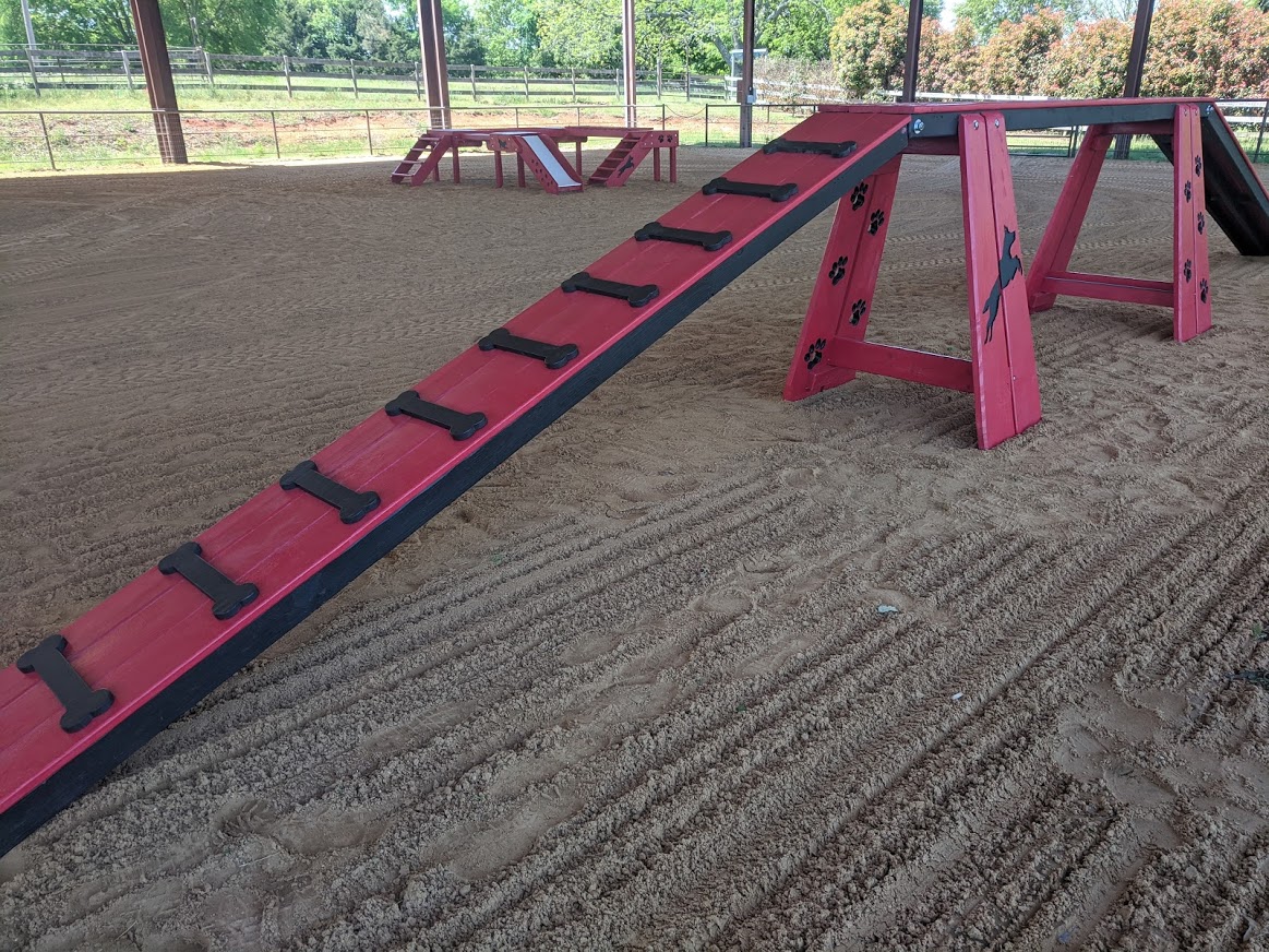 Agility – Dog Walk - Image 2