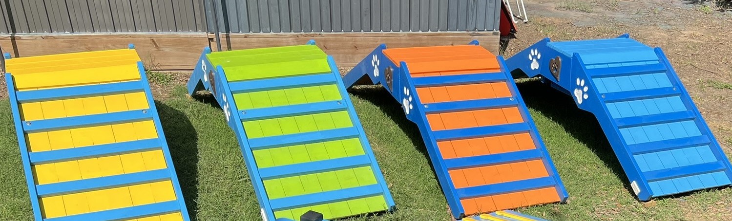 Agility – Senior A-Frame - Image 3