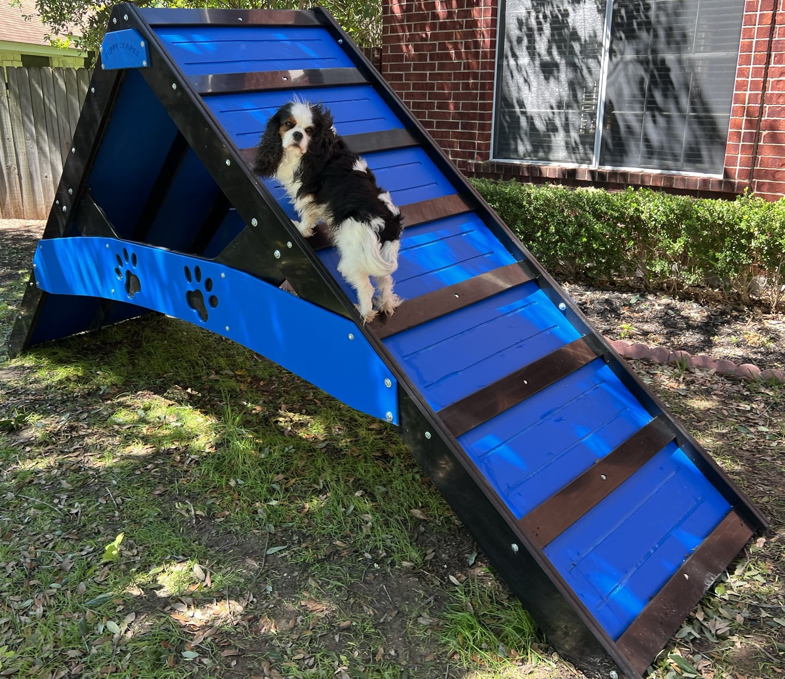Agility – A-Frame - Image 3