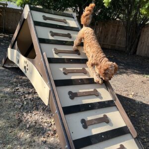 Agility – A-Frame