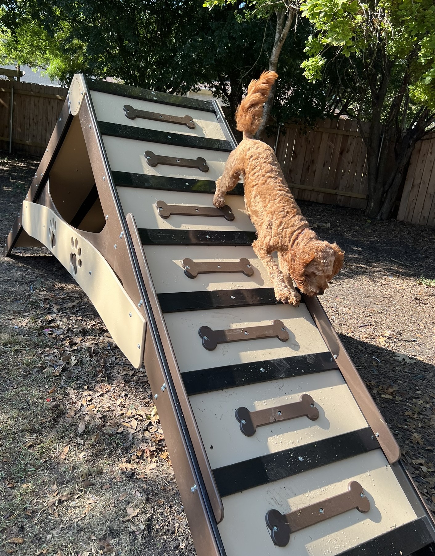 Agility – A-Frame