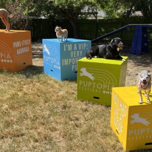 Nesting – Four Box Set w/ Logo