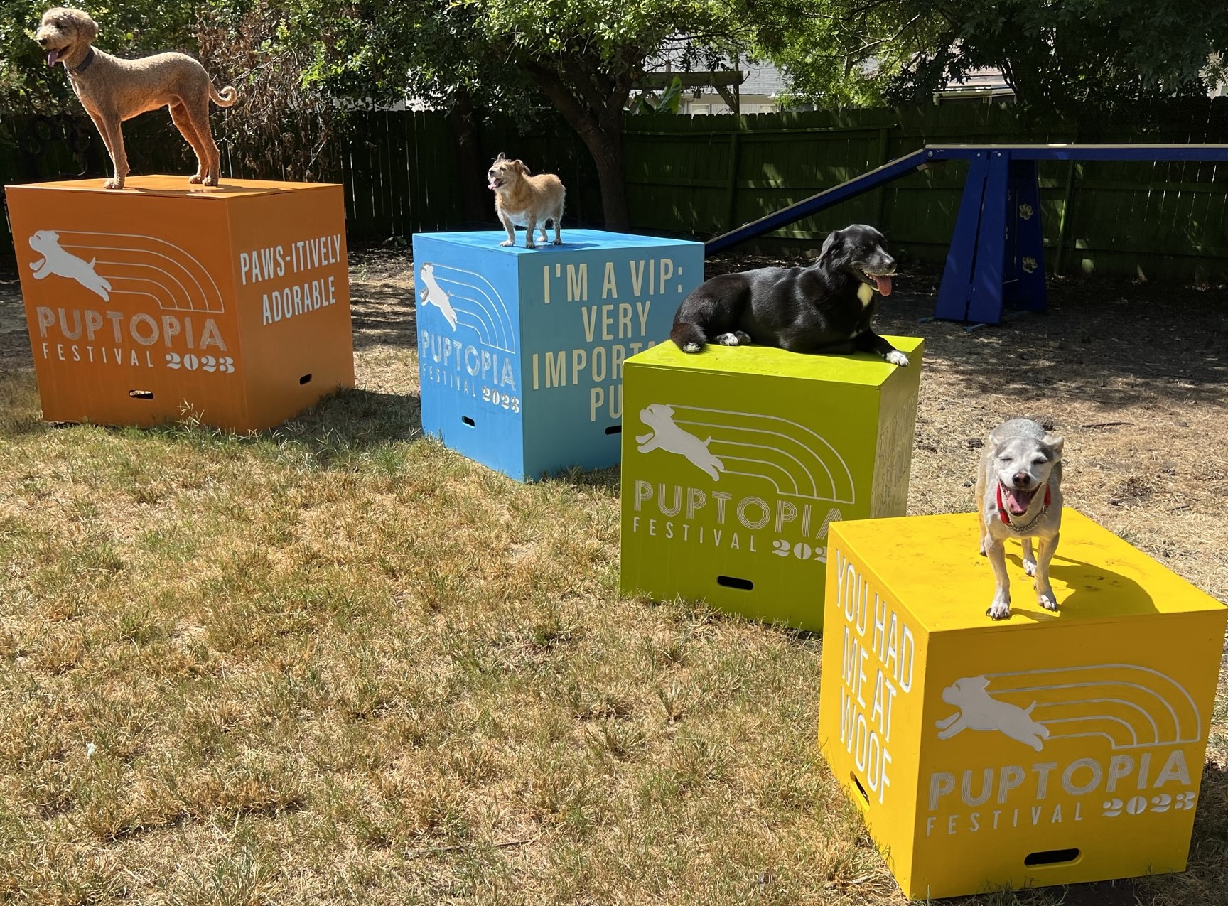 Nesting – Four Box Set w/ Logo