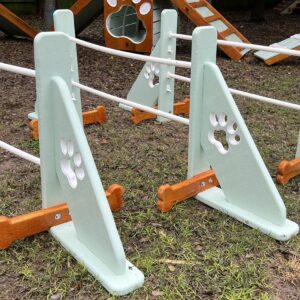 Agility – Jump