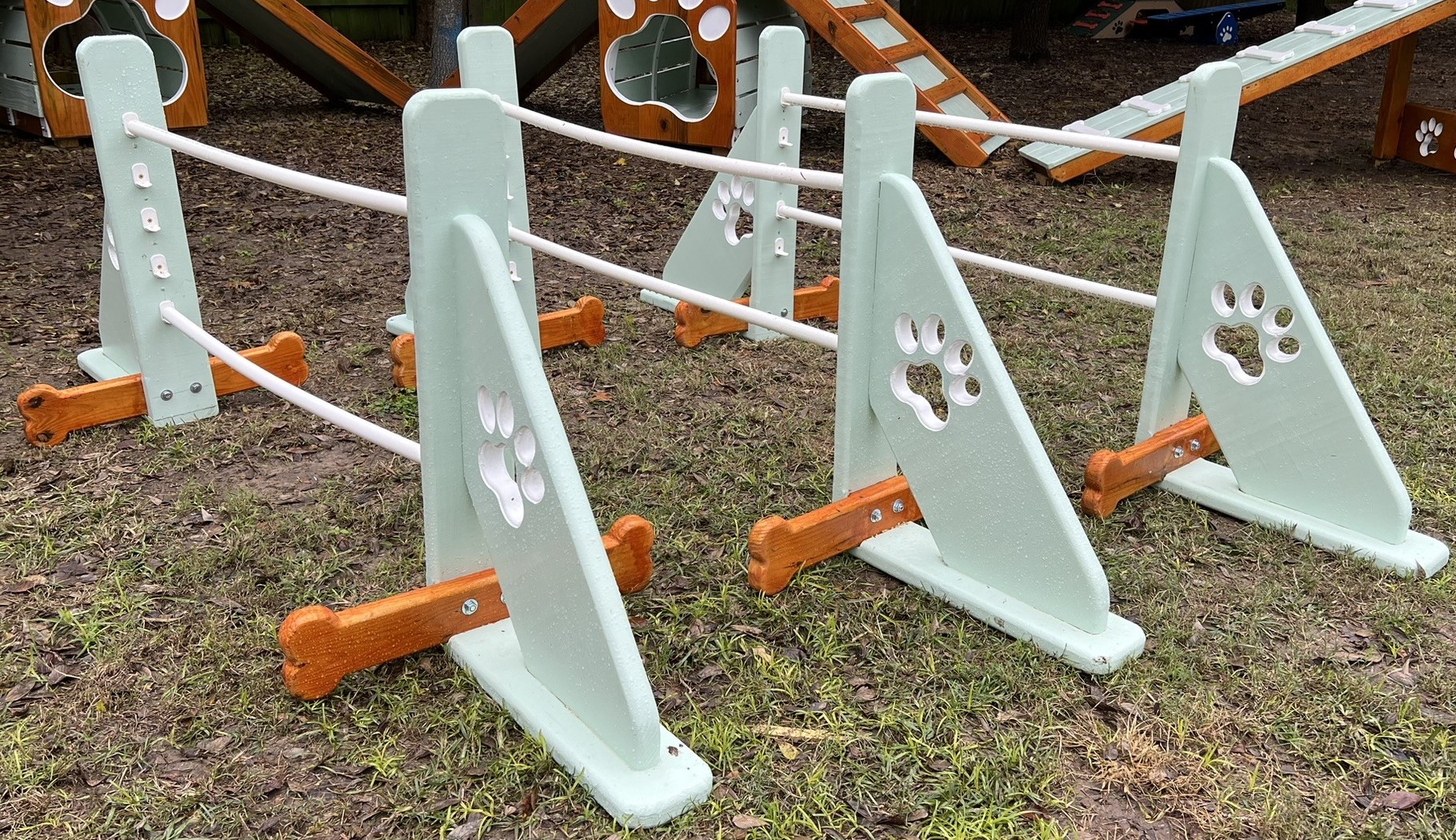 Agility – Jump
