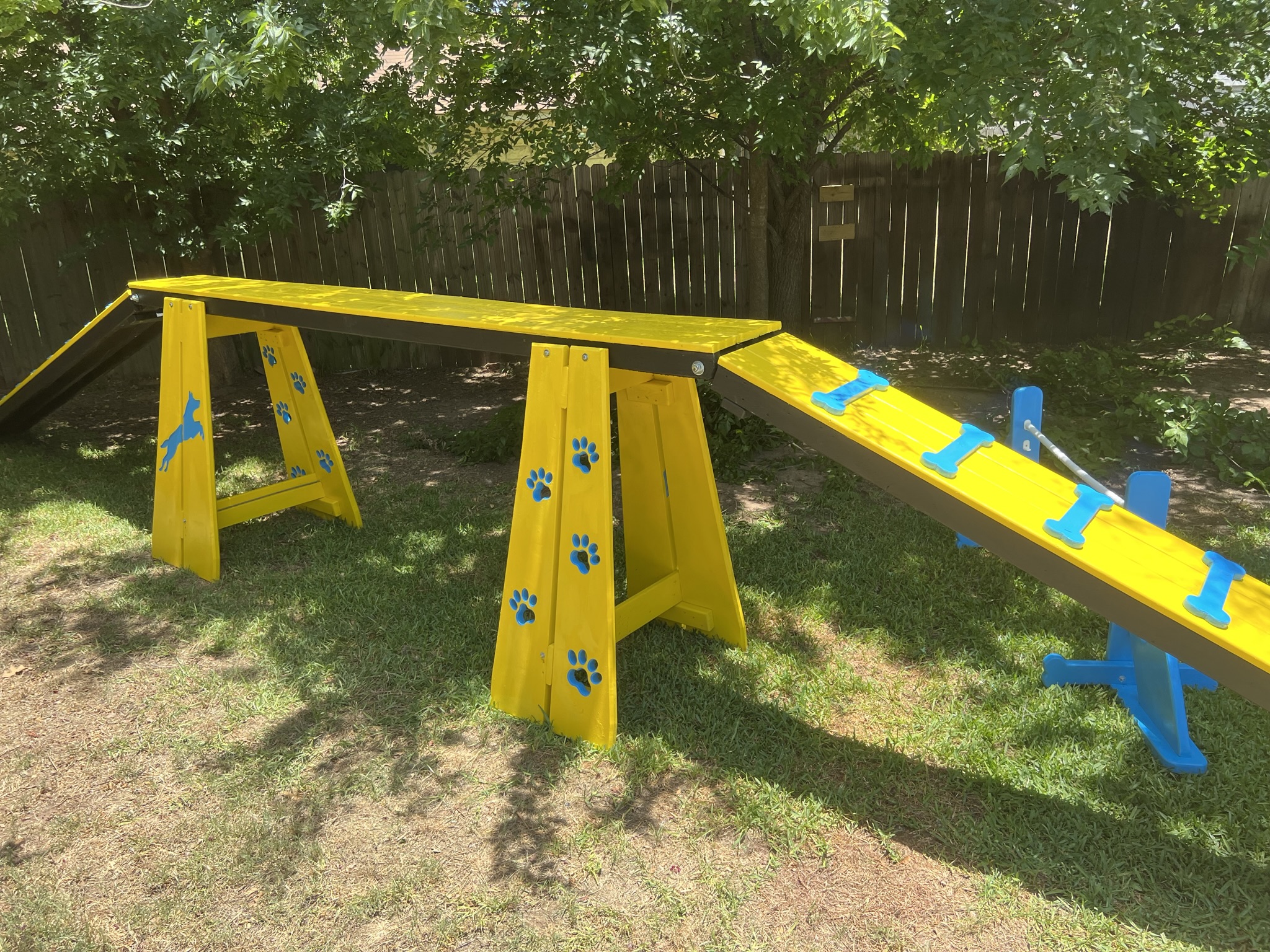 Agility – Dog Walk