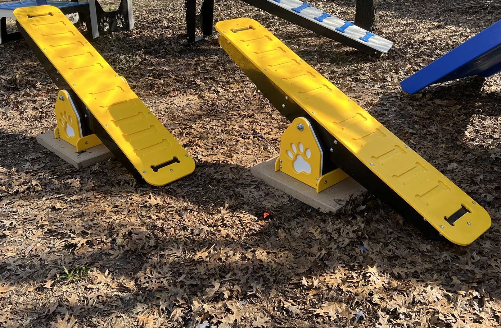 Agility – Teeter Totter - Image 3