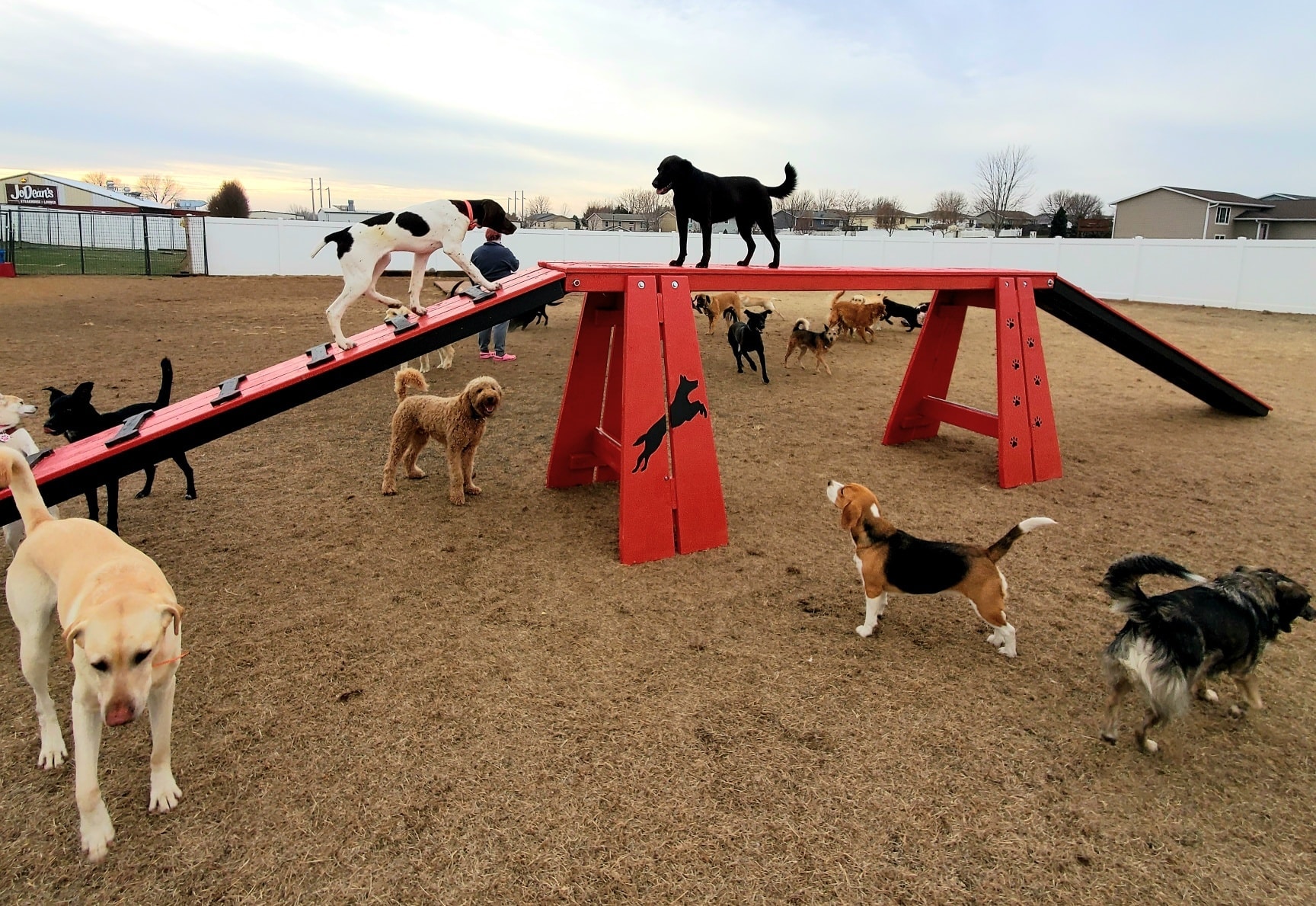 Agility – Dog Walk - Image 3
