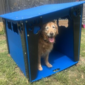 Housing – Dog House