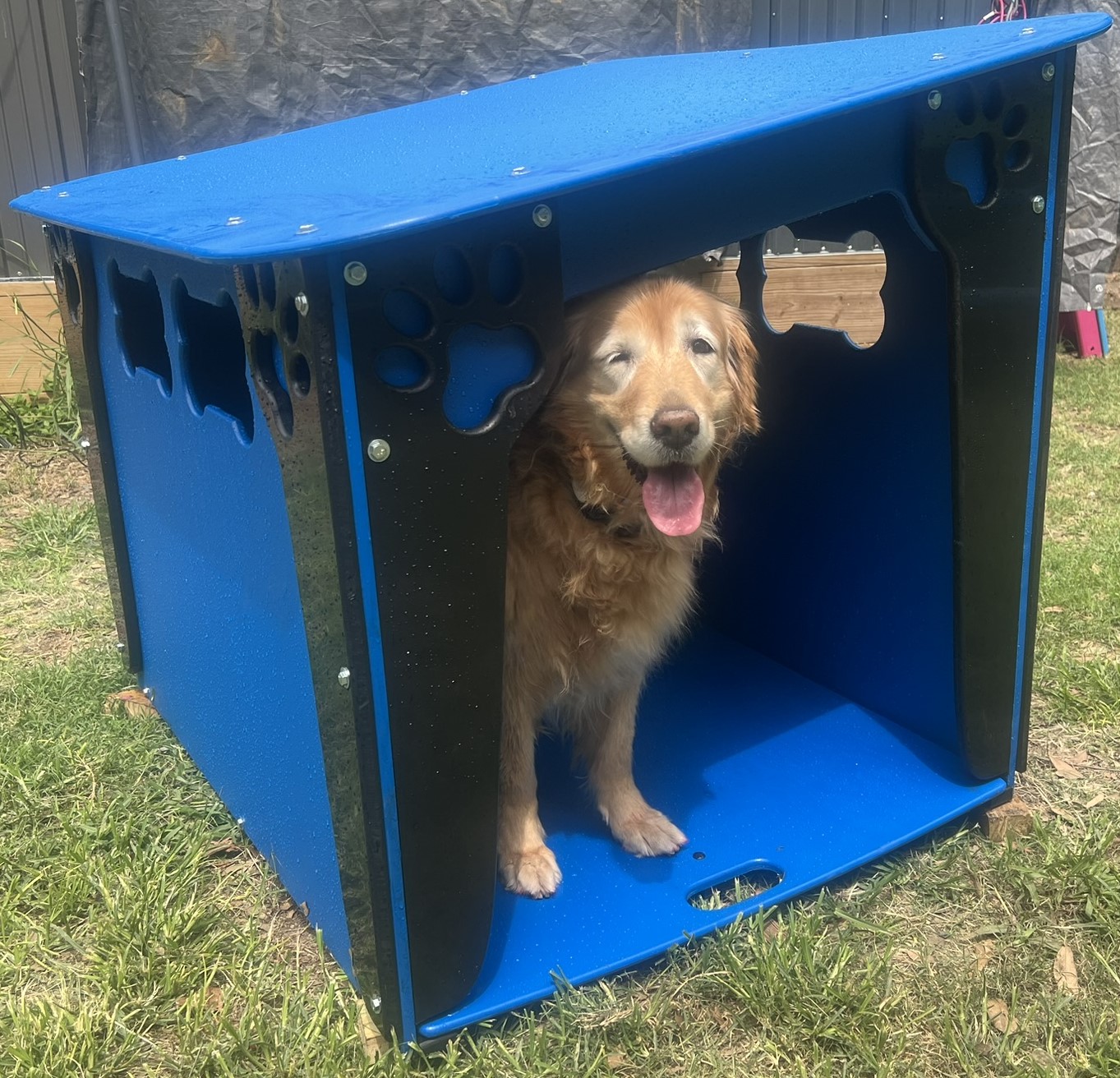 Housing – Dog House