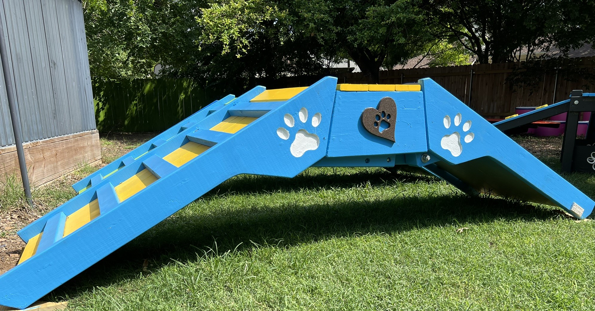 Agility – Senior A-Frame - Image 2