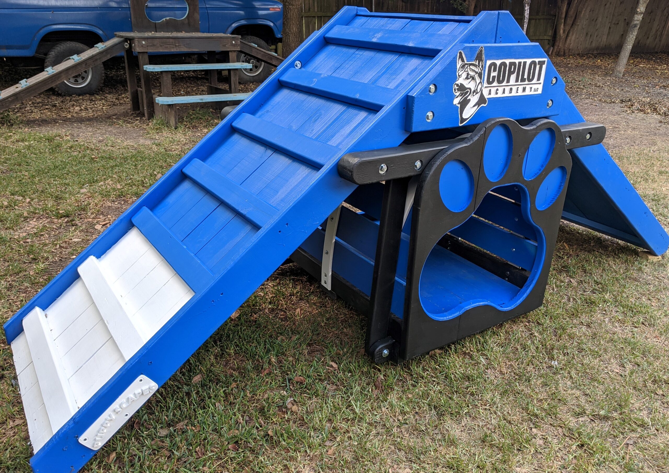 Agility – A-Frame w/ Tunnel