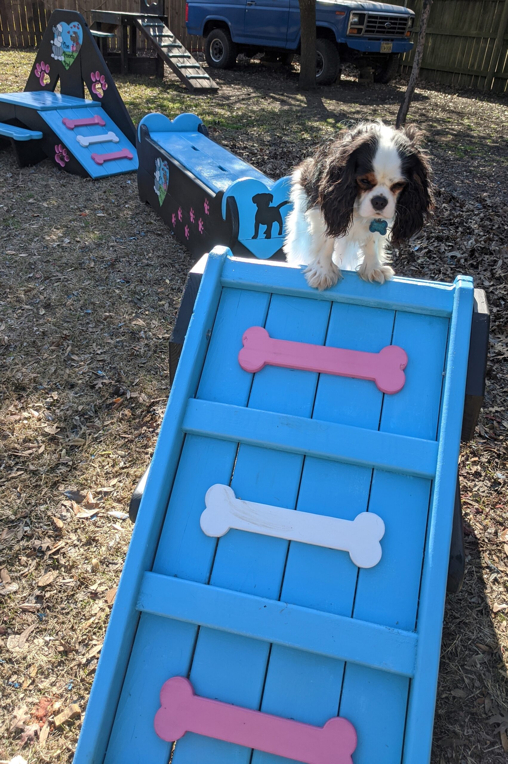 Agility – Micro A-Frame - Image 3