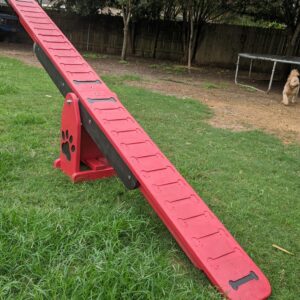 Agility – Teeter Totter