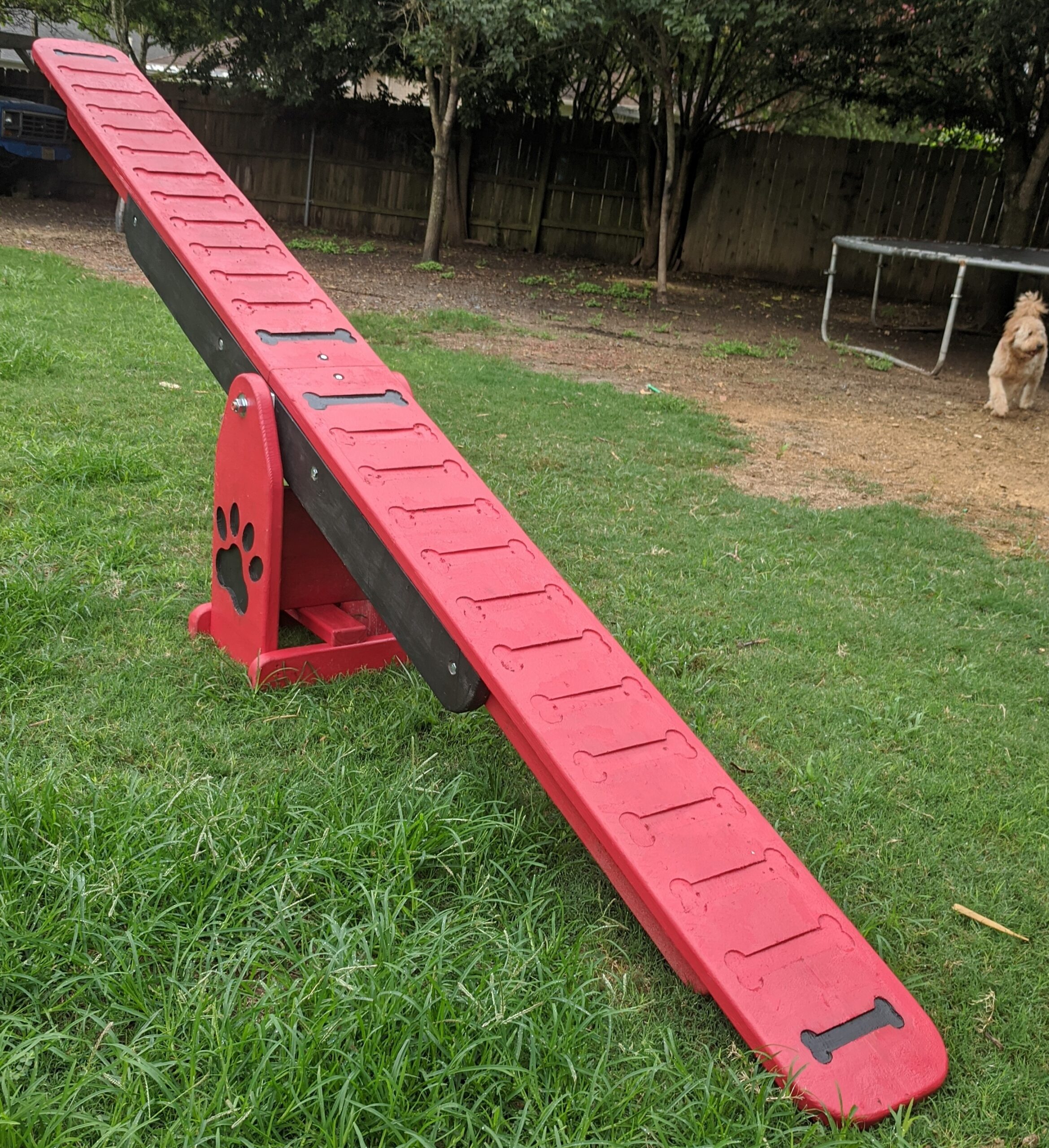 Agility – Teeter Totter