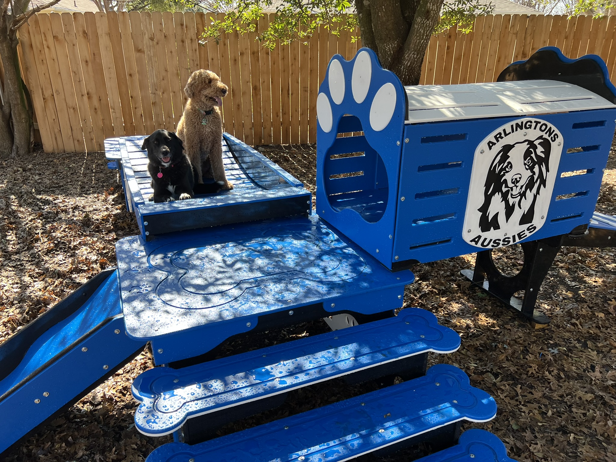 Activity Systems – Puppy w/ Tunnel - Image 2