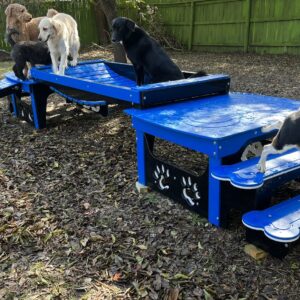 Activity Systems – Puppy