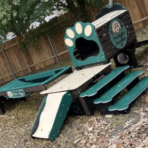 Activity Systems – Puppy w/ Tunnel