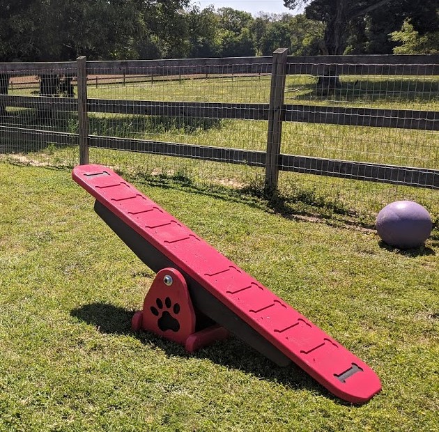 Agility – Mini Teeter Totter - Image 2