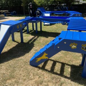 Activity Systems – Confidence Course