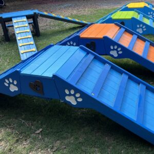 Agility – Senior A-Frame