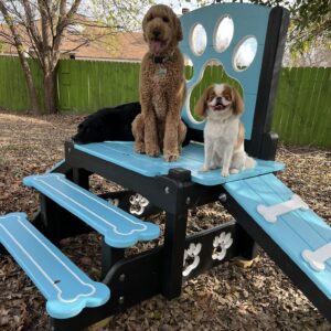 Platform – Mini Double Ramp