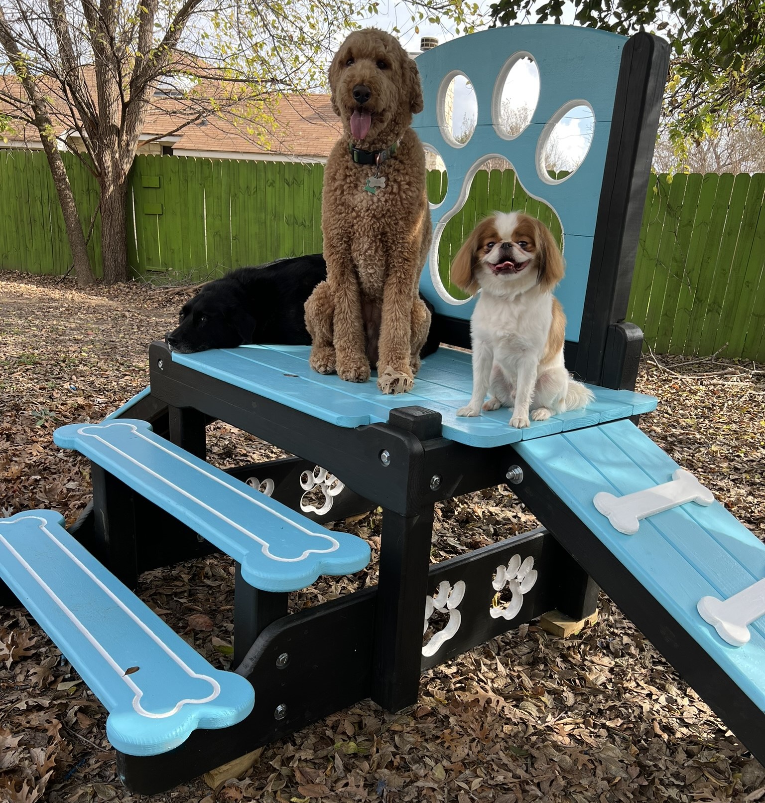 Platform – Mini Double Ramp