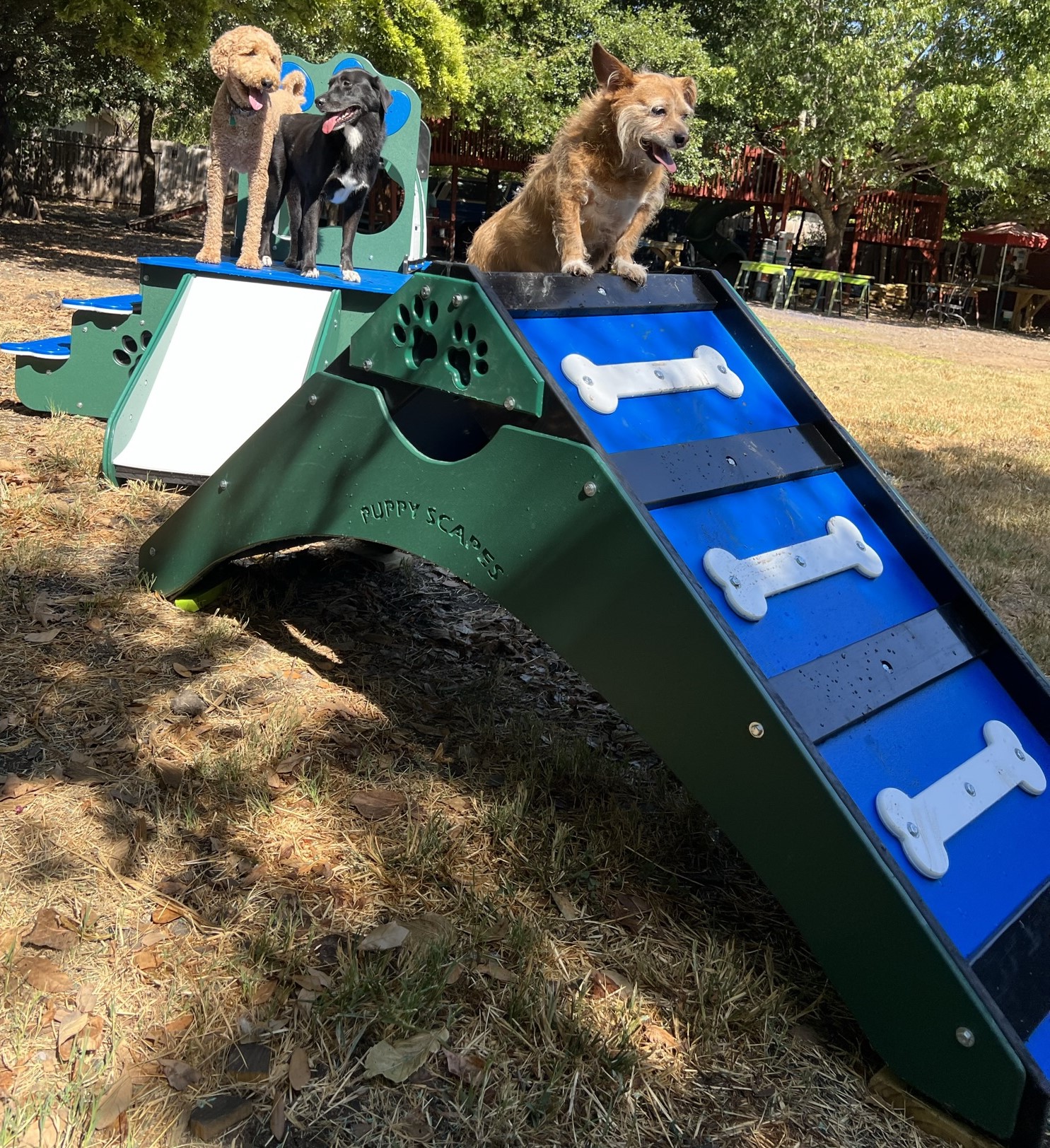 Agility – Micro A-Frame - Image 2